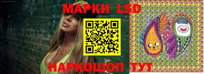 крисы Гатчина