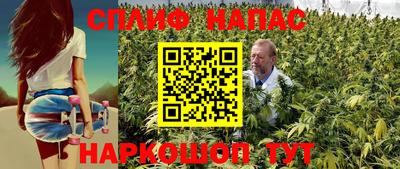 крисы Гатчина